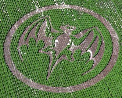 Fenomena Crop Circle Yang Menakjubkan