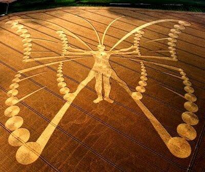 Fenomena Crop Circle Yang Menakjubkan