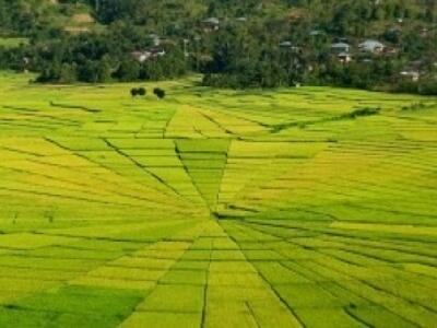 Fenomena Crop Circle Yang Menakjubkan