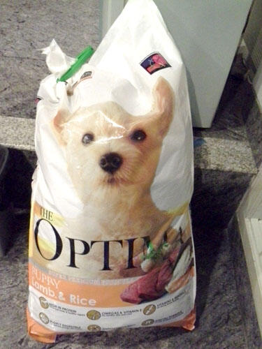 Barter / Jual Dogfood Ultima punya saya