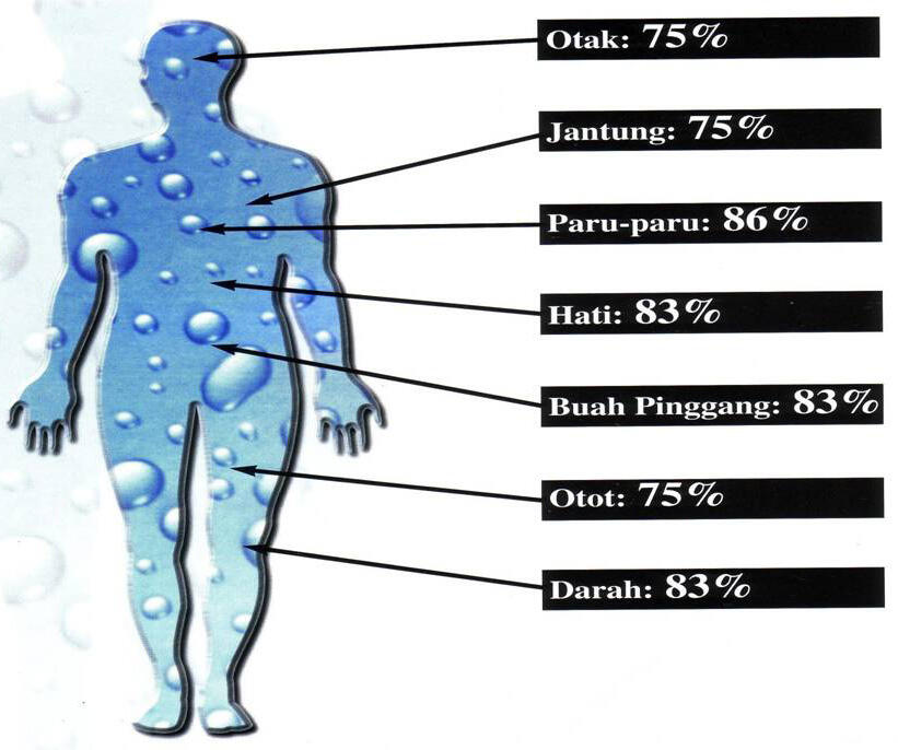 Jangan ragu minum air putih setelah bangun tidur!