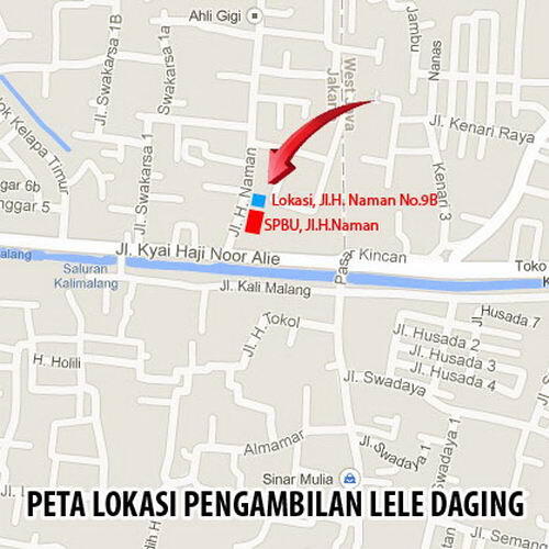 JUAL LELE KONSUMSI/DAGING 7-8 EKOR/KG DAN 10 EKOR/KG