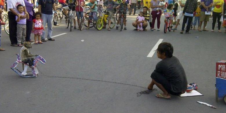 mulai 2014, Topeng Monyet dilarang di Jakarta! Monyetnya akan Dibeli dan Dipelihara. 