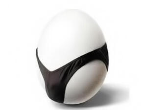 Seorang Pria Swiss Selundupkan 25 Telur Burung Langka di Celana Dalam