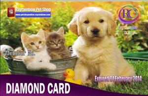 Butuh Supplier Petshop Hubungi Kami Segera Dapatkan Harga Super Murah