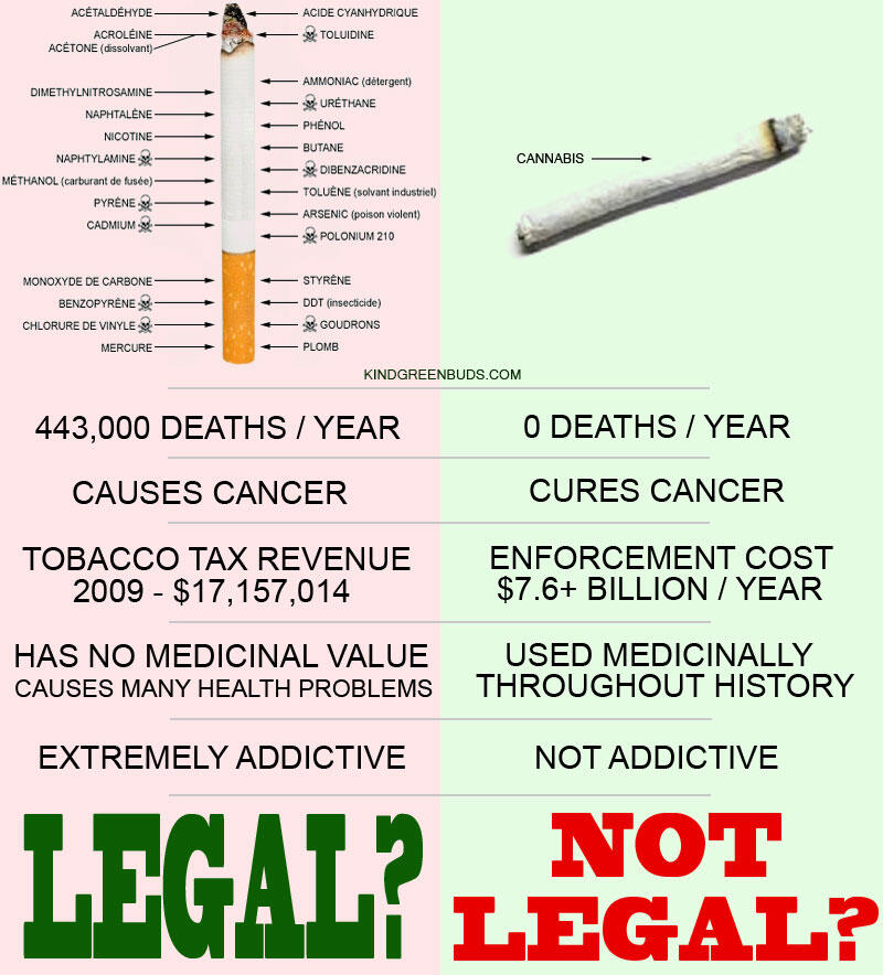 Tembakau vs Ganja (?) 