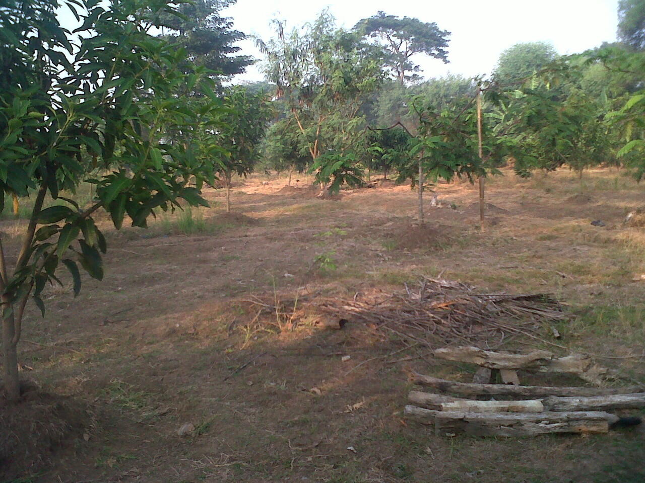 JUAL TANAH BEKASIH,,COCOK UNTUK INVESTASI,,LUAS 7000 MTR...RP. 150.000 / MTR..NEGO!