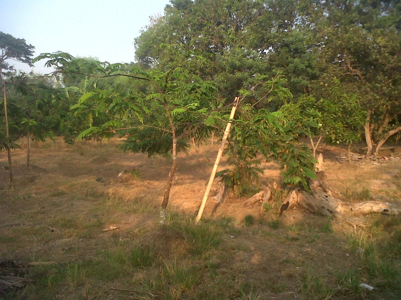 JUAL TANAH BEKASIH,,COCOK UNTUK INVESTASI,,LUAS 7000 MTR...RP. 150.000 / MTR..NEGO!