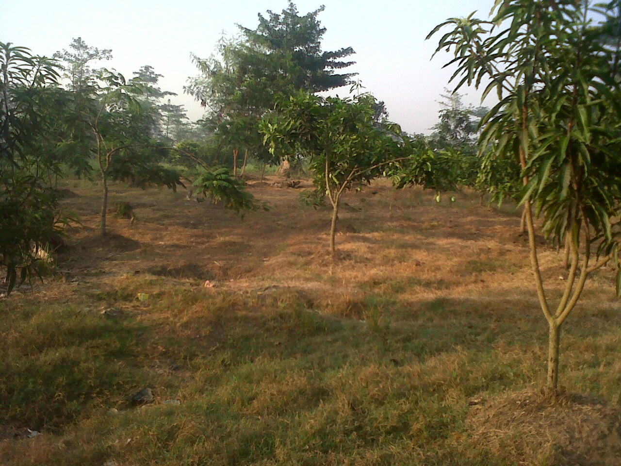 JUAL TANAH BEKASIH,,COCOK UNTUK INVESTASI,,LUAS 7000 MTR...RP. 150.000 / MTR..NEGO!