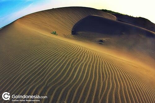 Gurun Sahara Indonesia