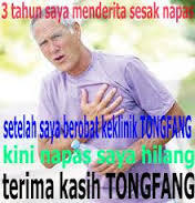 TONGFANG &#91;BB++&#93;