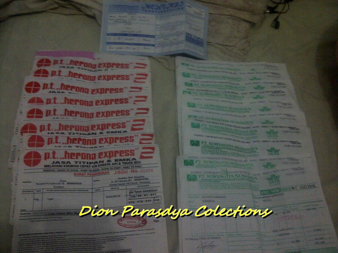 JUAL SUGAR GLIDER SURABAYA