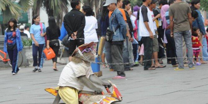 Masalah Topeng Monyet Mendunia, Jokowi Lakukan 4 Langkah ini