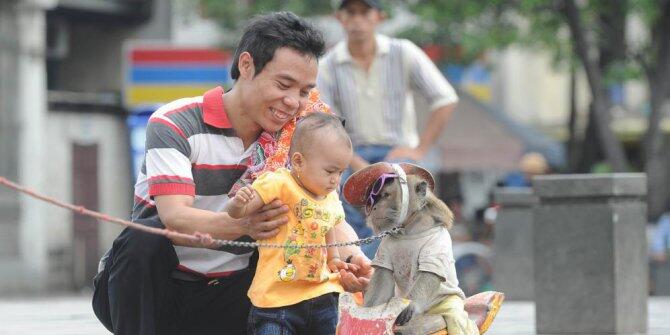 Masalah Topeng Monyet Mendunia, Jokowi Lakukan 4 Langkah ini