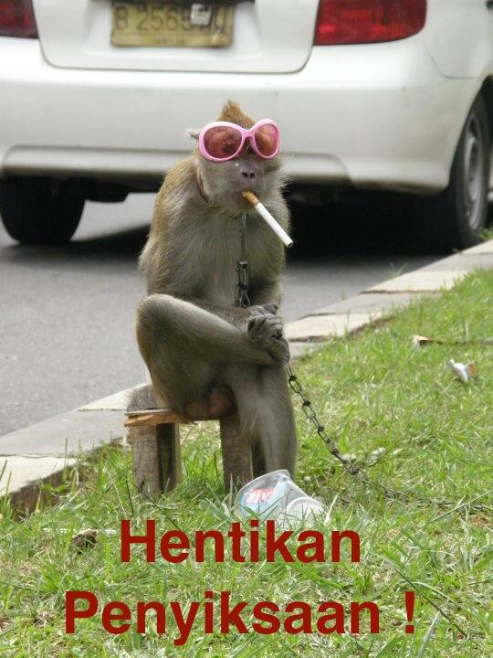 Masalah Topeng Monyet Mendunia, Jokowi Lakukan 4 Langkah ini