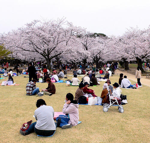 HANYA ADA DI JOGJA GAN, [ MASUP GAN ]