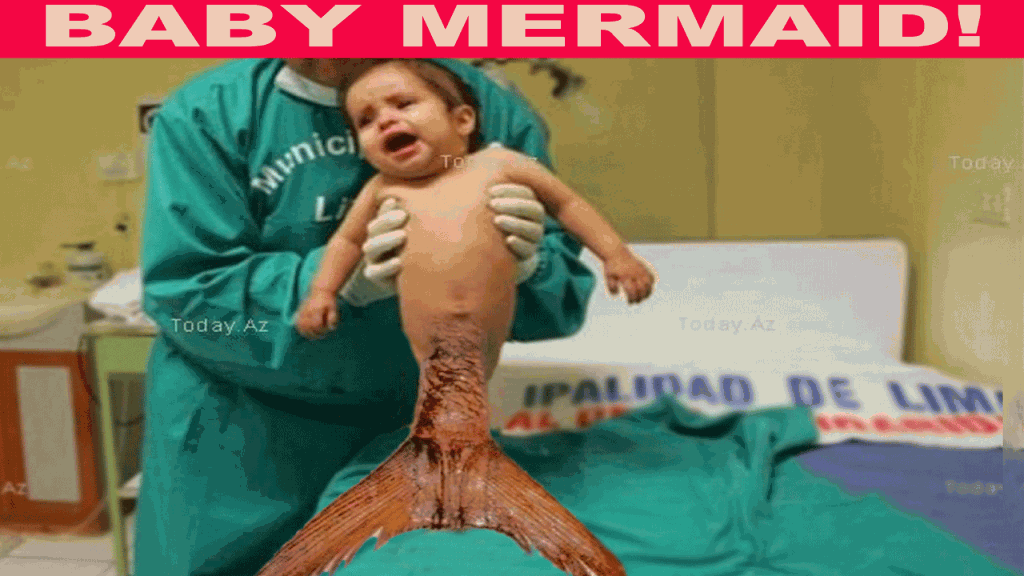 Putri duyung [mermaid] beneran ada gan!