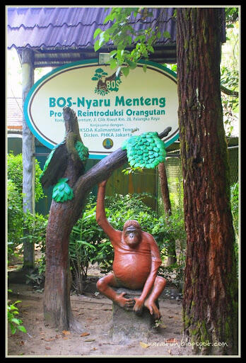 Mengenal Tempat Pariwisata di Kalimantan Tengah