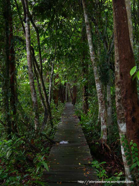 Mengenal Tempat Pariwisata di Kalimantan Tengah