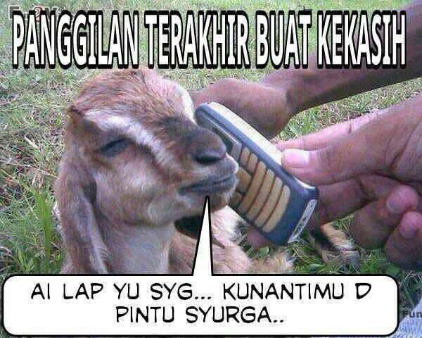 Foto2 Lucu yang sering Muncul di Komen Facebook (Meme Inside)