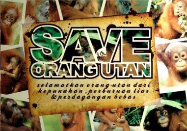 Orangutan Tewas Setelah Ditangkap Warga | :(
