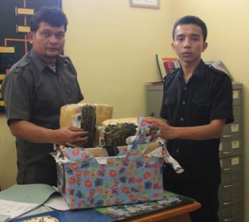 Agan bisa jumlahkan Berapa ton Jumlahnya Pasokan Ganja ini jika berhasil di edarkann