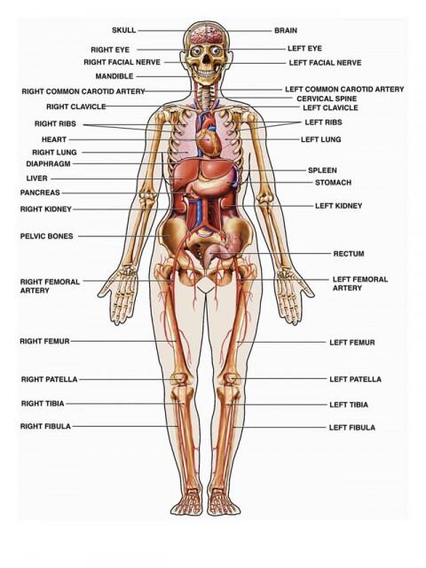 Pilih Resep Nabi atau Resep Dokter?