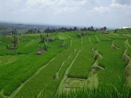 Renungan Pagi... Indahnya Kehidupan