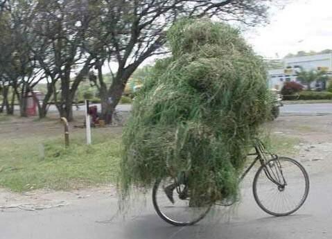 Maksain Banget...