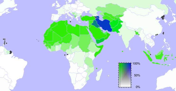  Yang Dimaksud Sunni dan Syi’ah