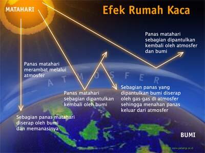 Efek Rumah Kaca Bukan Karena Bangunan Penuh Kaca