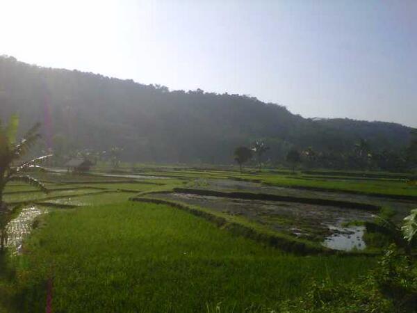 MENGABADIKAN FOTO KEINDAHAN ALAM ( kampung ane )