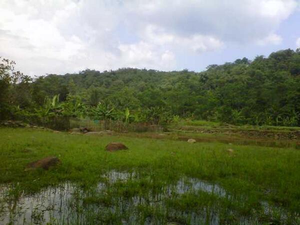 MENGABADIKAN FOTO KEINDAHAN ALAM ( kampung ane )