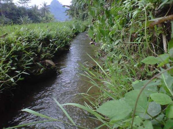 MENGABADIKAN FOTO KEINDAHAN ALAM ( kampung ane )