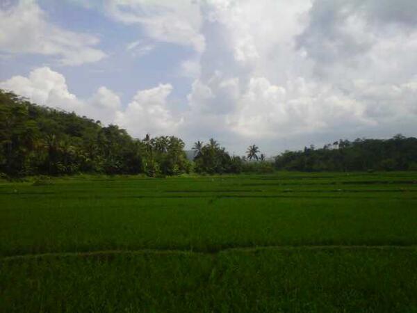 MENGABADIKAN FOTO KEINDAHAN ALAM ( kampung ane )