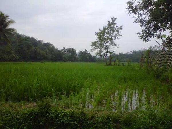 MENGABADIKAN FOTO KEINDAHAN ALAM ( kampung ane )