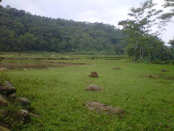 MENGABADIKAN FOTO KEINDAHAN ALAM ( kampung ane )