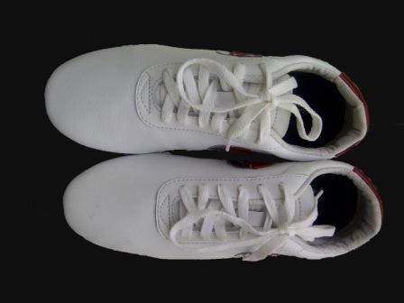 SEPATU TAI CHI ATAU WUSHU