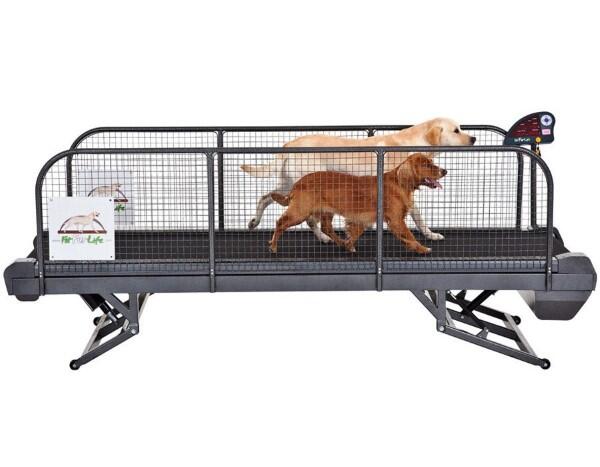 10 Gadget Aneh yang Membuat Anda Tetap Bugar