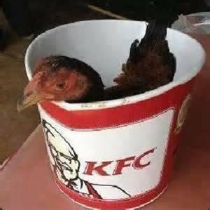 KFC model baru 