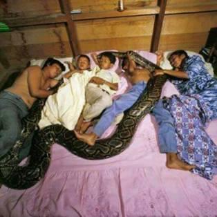 Foto Yang Mengagetkan Banyak Orang