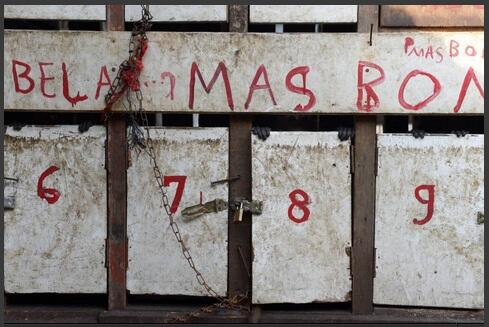 Penjara Topeng Monyet di Belantara Jakarta &#91;:berdukaskasian:berdukas&#93;