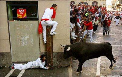 Tips Trik Saat Menghadapi Banteng Ngamuk