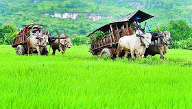 mengenal macam-macam kendaraan tradisional masyrakat indonesia