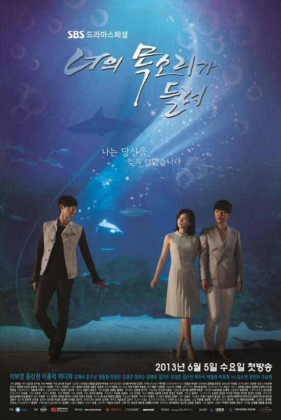 Jual DVD Drama Korea Terbaru 2013