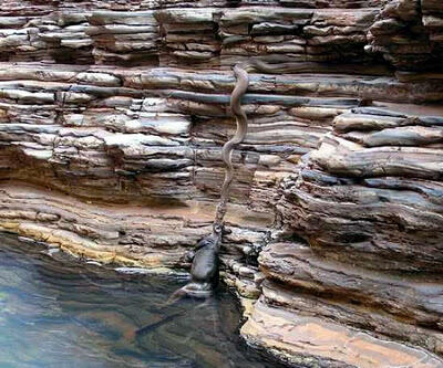 Kumpulan Foto Yang Menghebohkan Dunia!