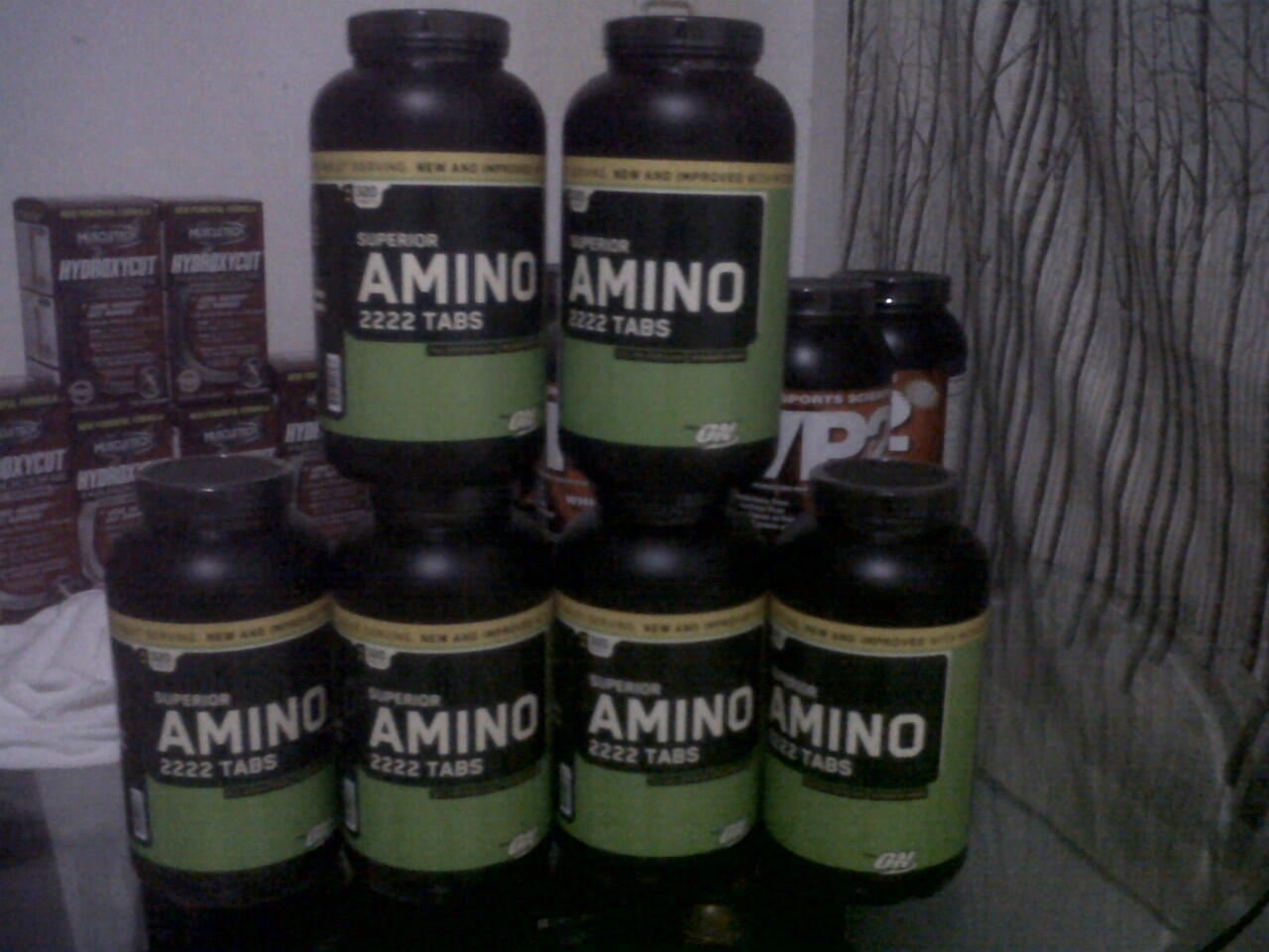 Suplemen fitneas carnivor hydrowhey whey gold wgs elite whey vp nitro un muscle juice