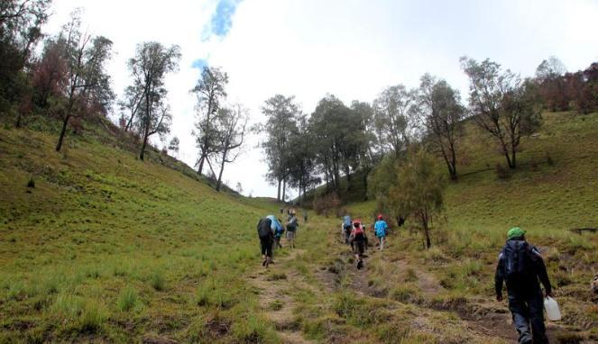 Jalur Pendakian Gunung Semeru (yg suka expedisi masuk)