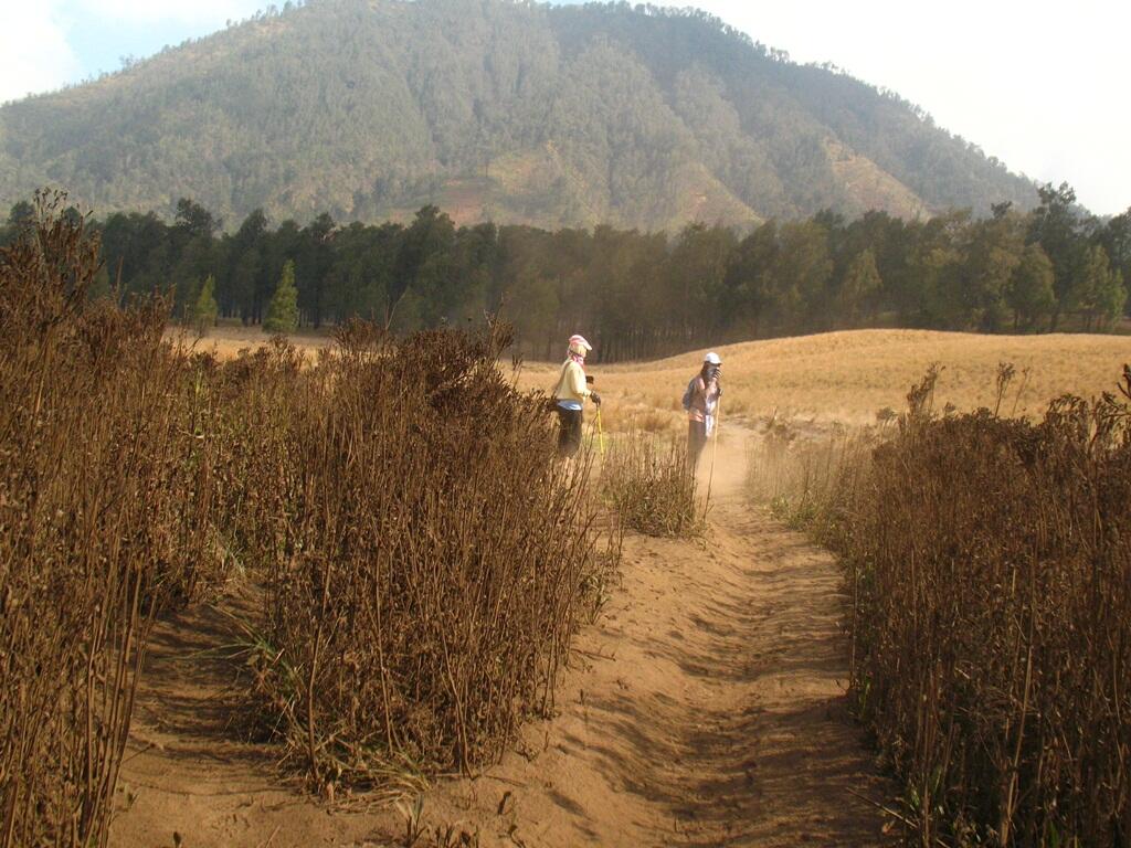 Jalur Pendakian Gunung Semeru (yg suka expedisi masuk)