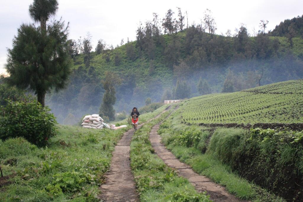 Jalur Pendakian Gunung Semeru (yg suka expedisi masuk)